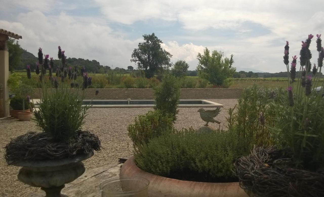 Mas Du Vieux Tilleul Vaison-la-Romaine Luaran gambar